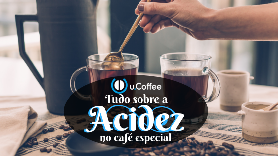 Acidez no café: o que é, como afeta e como controlar