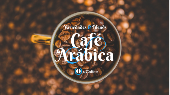 Conheça algumas diferenças entre o café conilon e o café arábica
