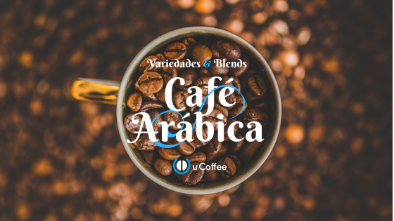 Café Robusta x Café Arábica: Entenda aqui a diferença!