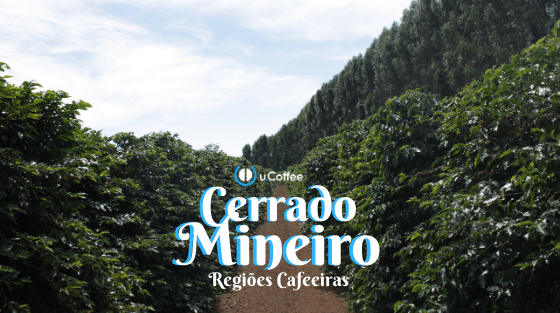 Regiões Cafeeiras: Café do Cerrado Mineiro