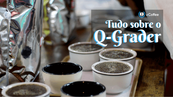 Q-Grader: saiba mais sobre o profissional que avalia cafés especiais