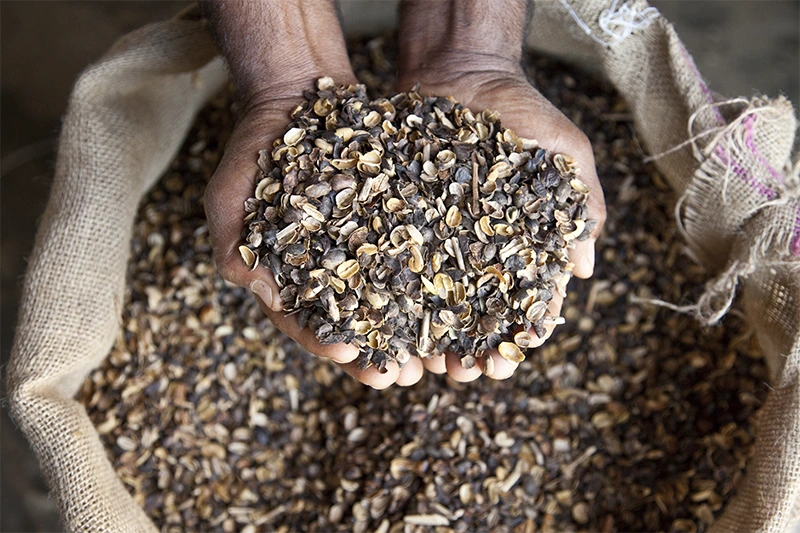 Café Tradicional