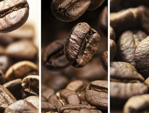 Diferentes Tipos de Cafés