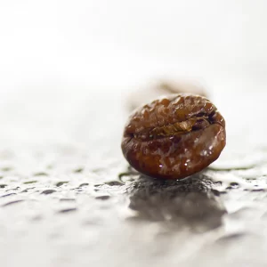 Grão de Café em processo de descafeinação