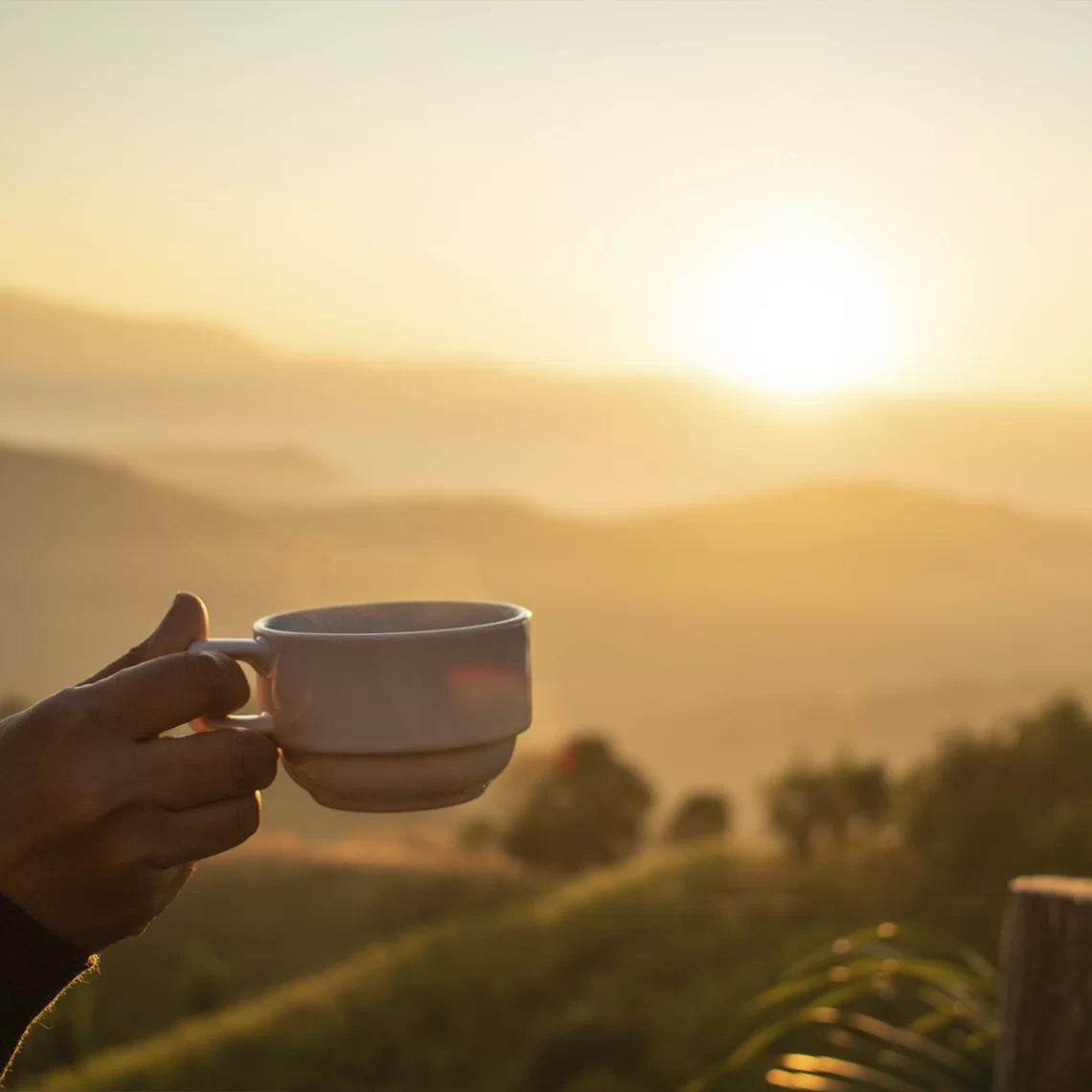 Xícara de café fresquinho em paisagem de fazenda