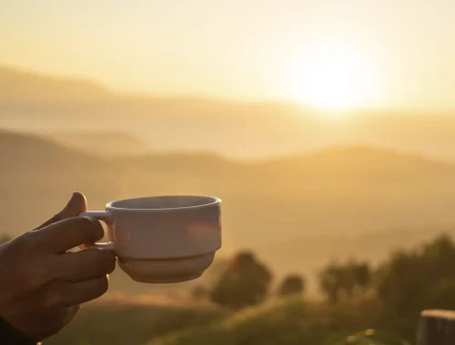Xícara de café fresquinho em paisagem de fazenda