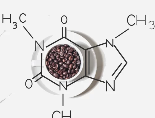 Química do café